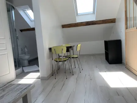 Duplex lumineux à Reims - 2 chambres, moderne et confortable - Photo 23