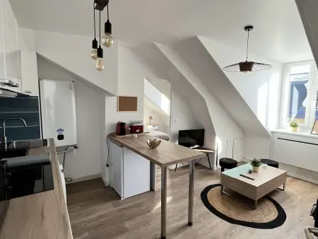 Charme Central : Grand Appart à Reims, Appartement 4 personnes à Reims - Photo 7
