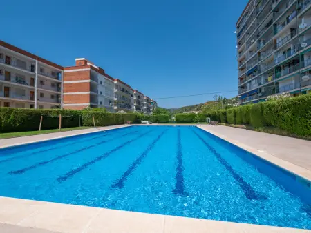 Appartement lumineux avec piscine, mini-golf, animaux admis à Santa Susanna - Photo 2