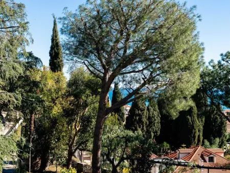 Orizzonte Blu Alassio, Appartement 5 personnes à Alassio - Photo 20