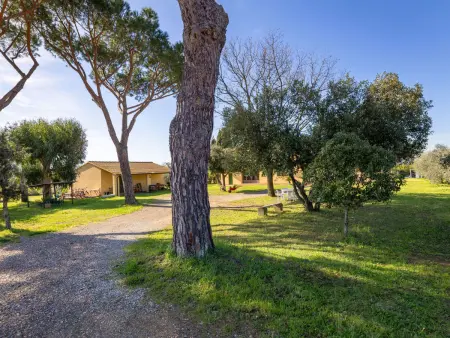 La casa del Prime, Maison 8 personnes à Cecina - Photo 79