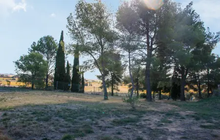 Maison avec piscine et jacuzzi, Maison 8 personnes à Rieux Minervois - Photo 17