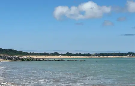maison au bord de mer, Maison 8 personnes à Saint Georges d'Oléron - Photo 33