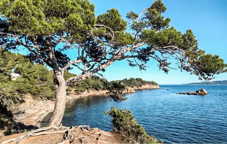 PISCINE ET ACCÈS PLAGE, Appartement 5 personnes à Hyères - Photo 14