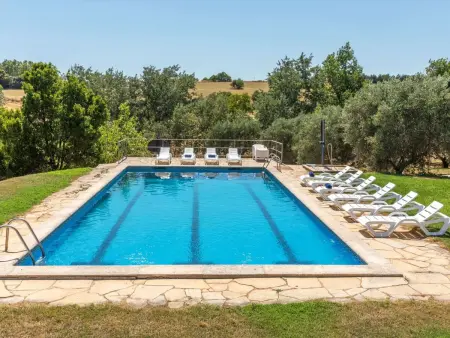 Finca el Olivar, Villa 20 personnes à Argentona - Photo 50