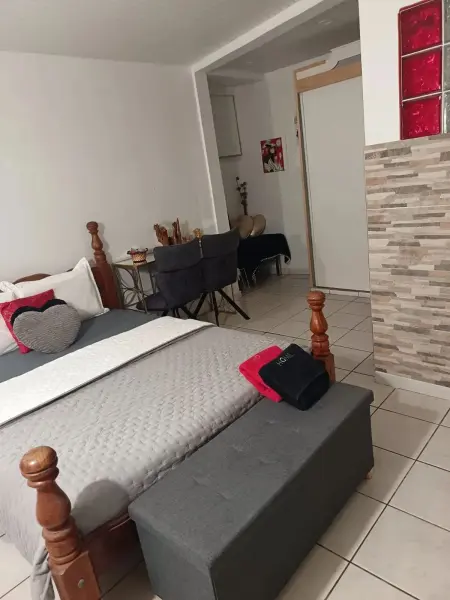 Bel appartement à Saint-Joseph de 50 m² avec terrasse - Photo 9