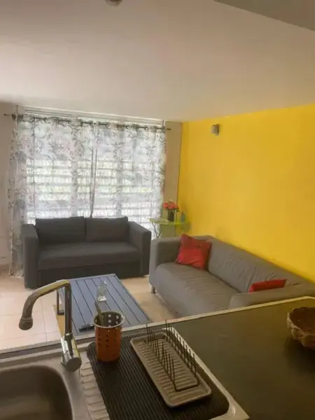 Appartement avec terrasse à Fort-de-France 50 m² - Photo 1