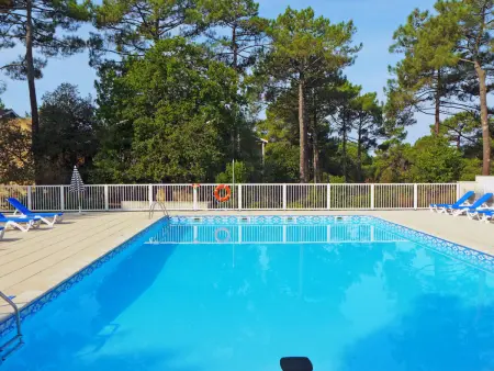 Les Grands Pins, Appartement 4 personnes à Maubuisson - Photo 4