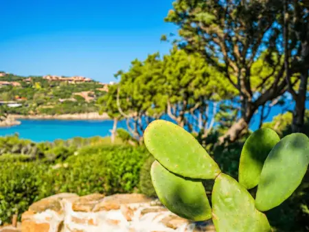 Vista 9, Appartement 6 personnes à Porto Cervo - Photo 22