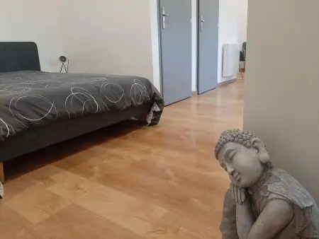 Studio confortable à Barzy-en-Thiérache, 32 m² avec terrasse - Photo 9