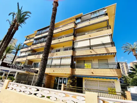 Appartement en Front de Mer à Benidorm avec Animaux Admis - Photo 20