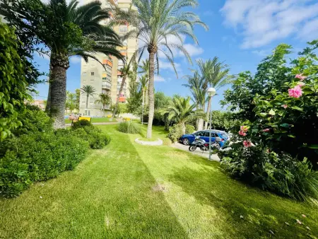 Appartement Familial à Benidorm - Plage de Poniente (5 pers) + Animaux et Parking - Photo 24