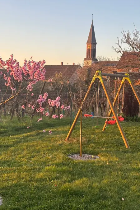 Gîte des Cigognes  (Storchenhaus), Maison 4 personnes à Kintzheim - Photo 13