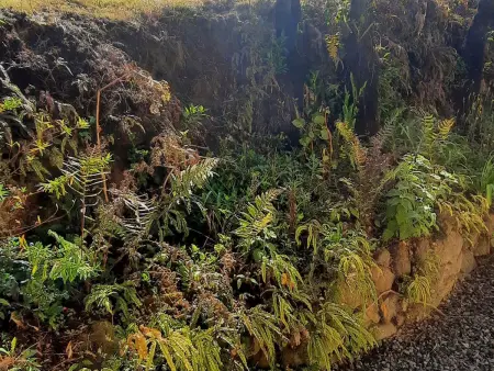 Gîte chaleureux, vue montagne - 4 pers., Gite 4 personnes à Le Tampon - Photo 25