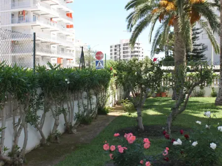 Appartement confortable avec piscine, parking et climatisation à Gandía, Espagne - Photo 26