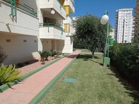 Appartement à Gandía - Piscine, Tennis, Animaux Acceptés, WiFi - Photo 32