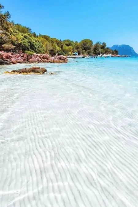 Appartamento vacanze  Am Meer, Appartement 8 personnes à Olbia - Photo 18