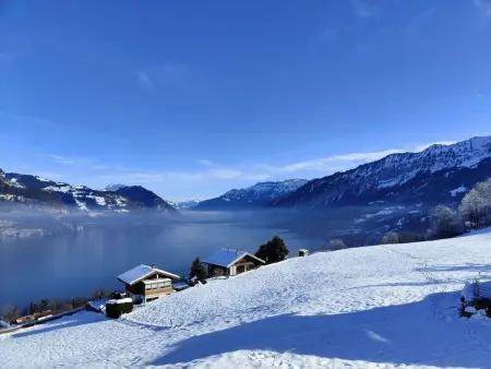 Traumblick Krattigen, Appartement 4 personnes à Krattigen - Photo 20