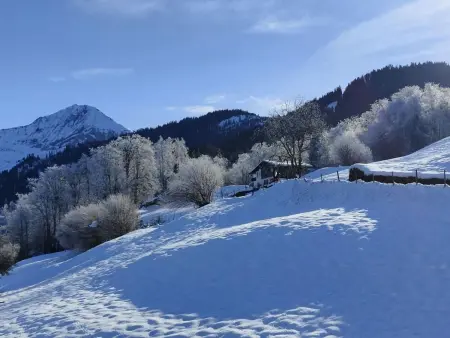 Traumblick Krattigen, Appartement 4 personnes à Krattigen - Photo 21