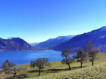 Traumblick Krattigen, Appartement 4 personnes à Krattigen - Photo 35