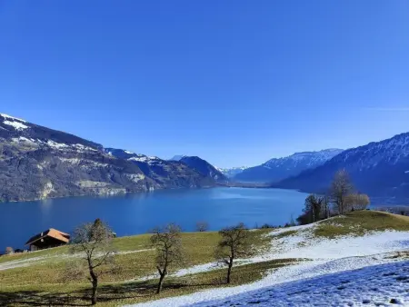 Traumblick Krattigen, Appartement 4 personnes à Krattigen - Photo 38