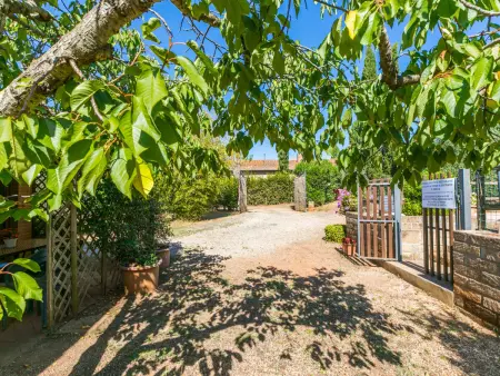 Preselle, Maison 4 personnes à Casale Marittimo - Photo 45