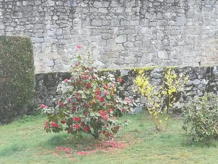 Maison cosy avec piscine partagée à Saint-Avit-de-Tardes - Photo 16
