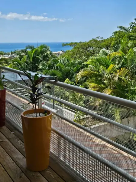Appartement spacieux à Schoelcher avec terrasse - Photo 15