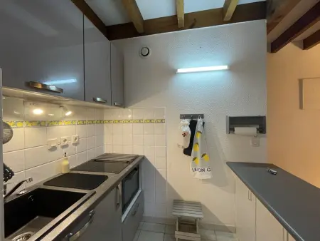 Appartement, animaux acceptés - Vue piscine et lac - Photo 6