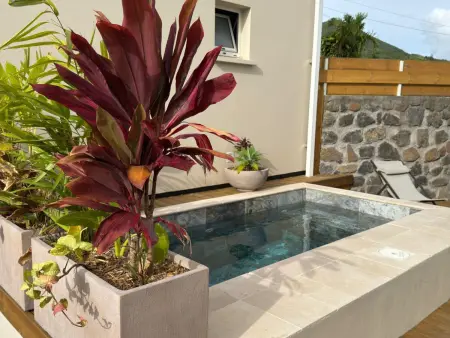 Maison avec piscine privative - 4 pers., Gite 4 personnes à Saint Joseph - Photo 6