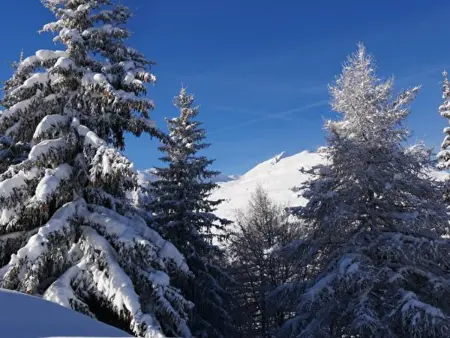 Appartement avec balcon - 4 pers., Appartement 4 personnes à Valloire - Photo 11
