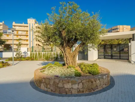 Appartement jardin commun, clim - 4 pers., Appartement 4 personnes à Arenals del Sol - Photo 19