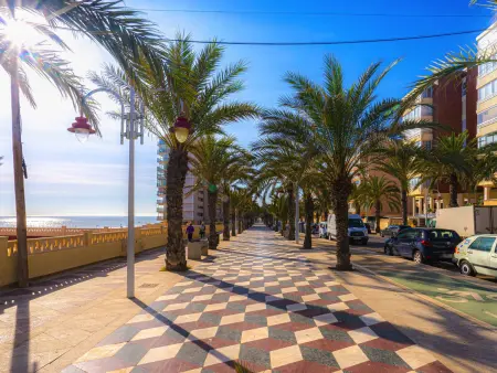 Appartement jardin commun, clim - 4 pers., Appartement 4 personnes à Arenals del Sol - Photo 26