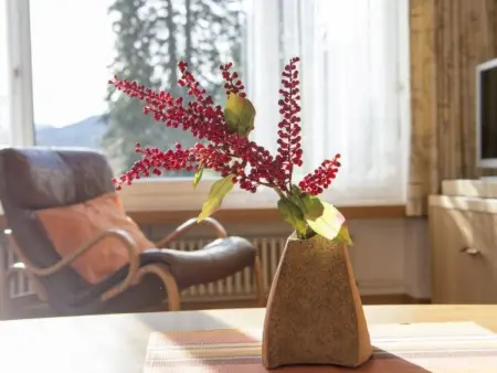 Mistaila für 6 Personen Valbella-Lenzerheide, Appartement 6 personnes à Valbella - Photo 10