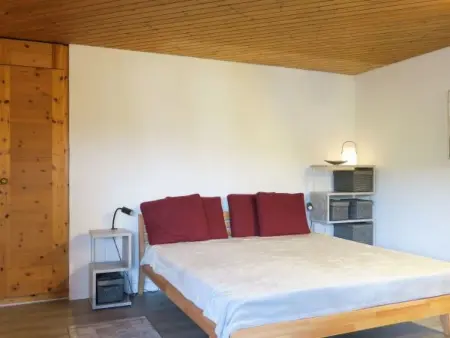 Schweizerhof 242 Lenzerheide, Appartement 4 personnes à Lenzerheide - Photo 2
