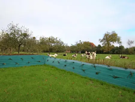 Maison Normande proche des plages avec jardin privé et parking - Photo 15