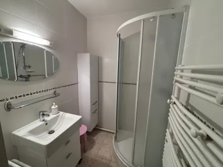 Appartement, animaux admis, clim - vue sur l'étang - Photo 6