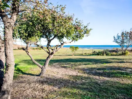 Lodge Natura 4p, Maison 4 personnes à Santa Maria Poggio - Photo 19
