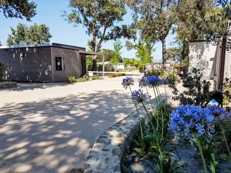 Lodge Natura 6p, Maison 6 personnes à Santa Maria Poggio - Photo 34