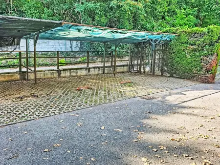 I Vigneti del Garda, Appartement 4 personnes à Lazise - Photo 23