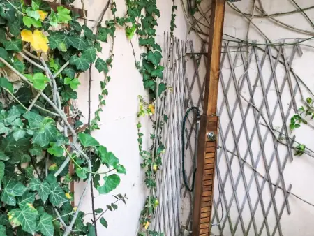 Lilla, Maison 6 personnes à Villasimius - Photo 18