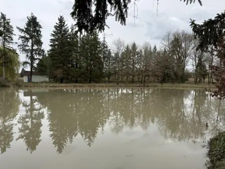 Charmant gîte avec parking, animaux OK - Sologne - Photo 1