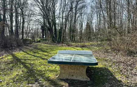 Maison 8 personnes à Rendeux - Photo 7