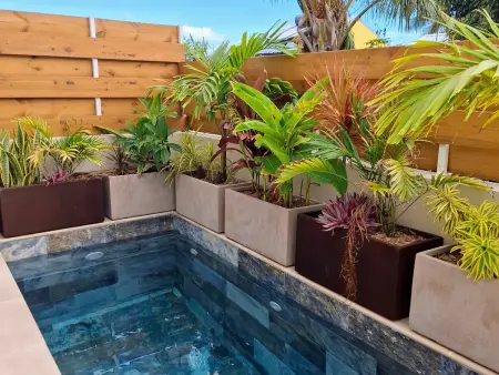 Villa avec piscine privée - 4 pers., Gite 4 personnes à Saint Joseph - Photo 13