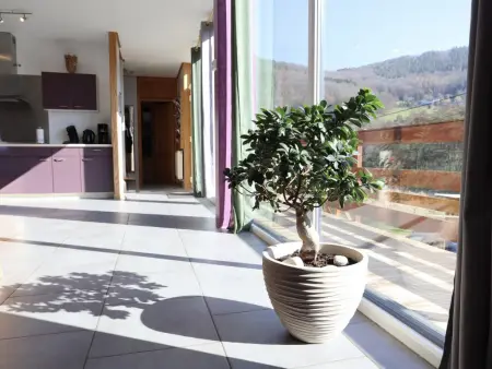 Well Coom, Jolie maison avec sauna & spa près de la rivière - Photo 10