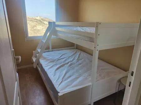 Studio cabine, animaux admis - 5 pers., vue dunes - Photo 2