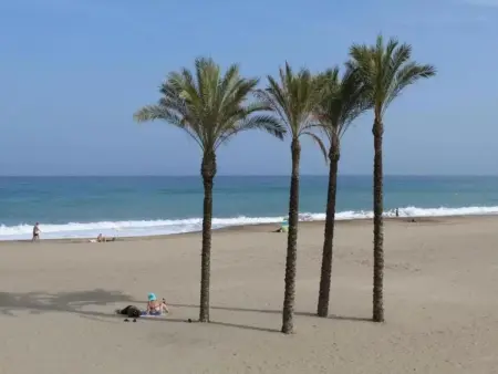 Appartement avec vue sur la mer à Ventanicas, 87 m², piscine - Photo 30