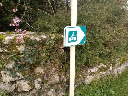 Maison en bastide, animaux admis - 5 pers., Maison 4 personnes à Montfaucon - Photo 29