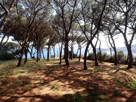 Appartement charmant vue mer - 4 pers., Appartement 4 personnes à Sant Feliu de Guíxols - Photo 6