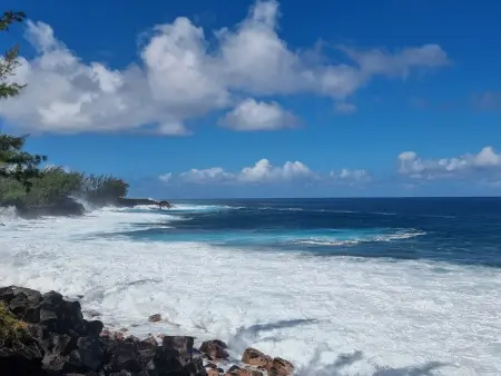 Villa calme dans le Sud Sauvage, Gite 6 personnes à Saint Philippe - Photo 10